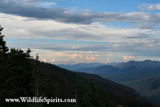 Click Picture to send as an  E-PostCard 63k 550x367